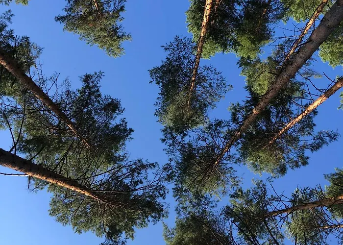 Aldeia Bianca Savonlinna Aparthotel