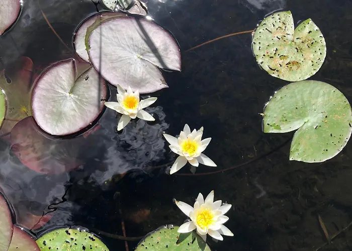 Aldeia Bianca Savonlinna